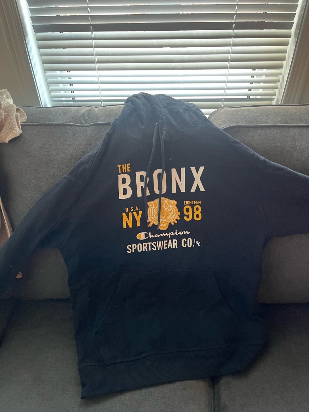 Champion Navy Pullover Hoodie with Yellow & White Bronx Graphic